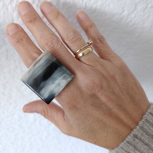 Anillo Africa