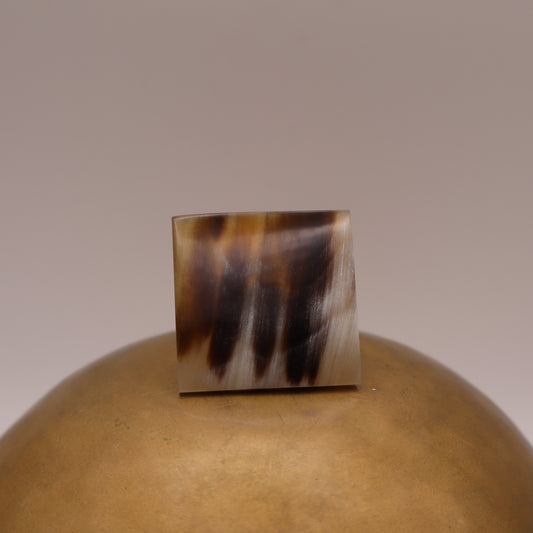 Anillo Africa