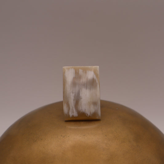 Anillo Lagos