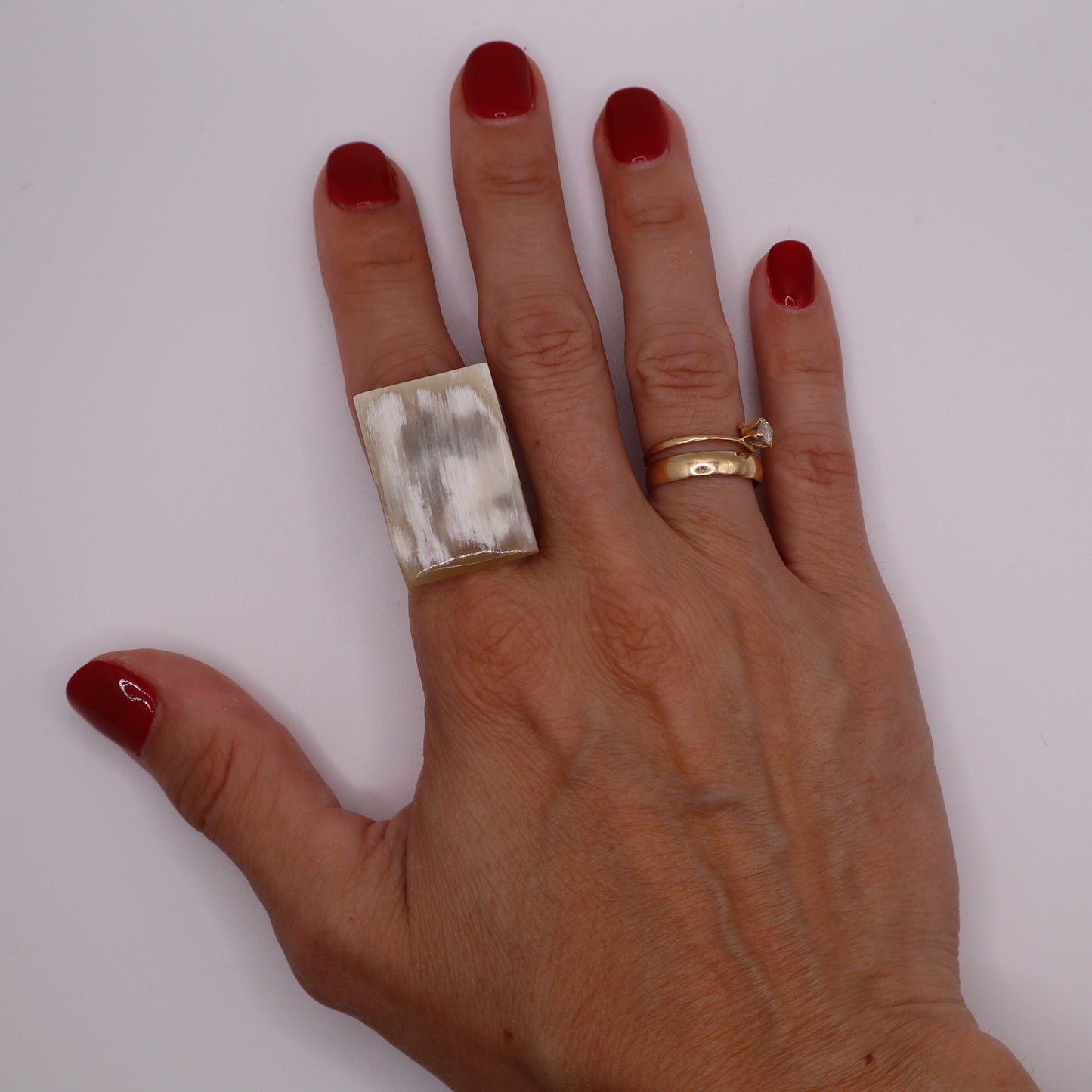 Anillo Lagos