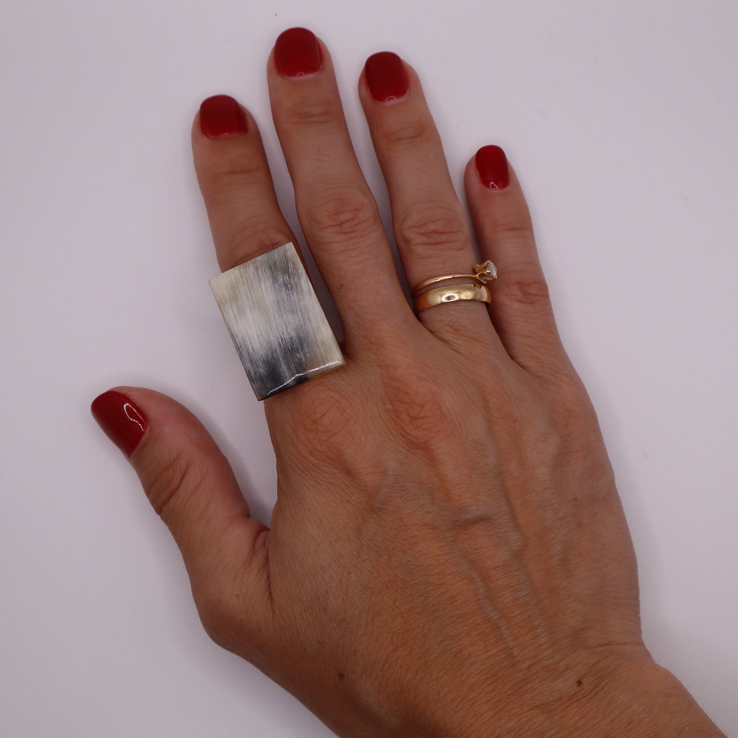 Anillo Lagos