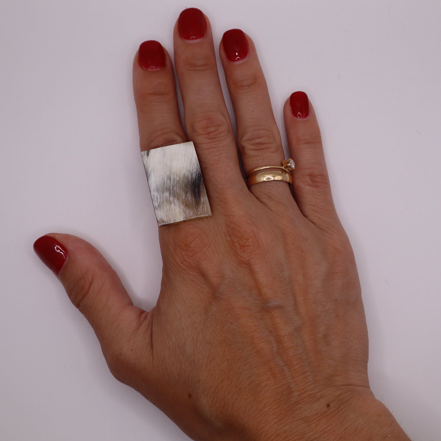 Anillo Lagos