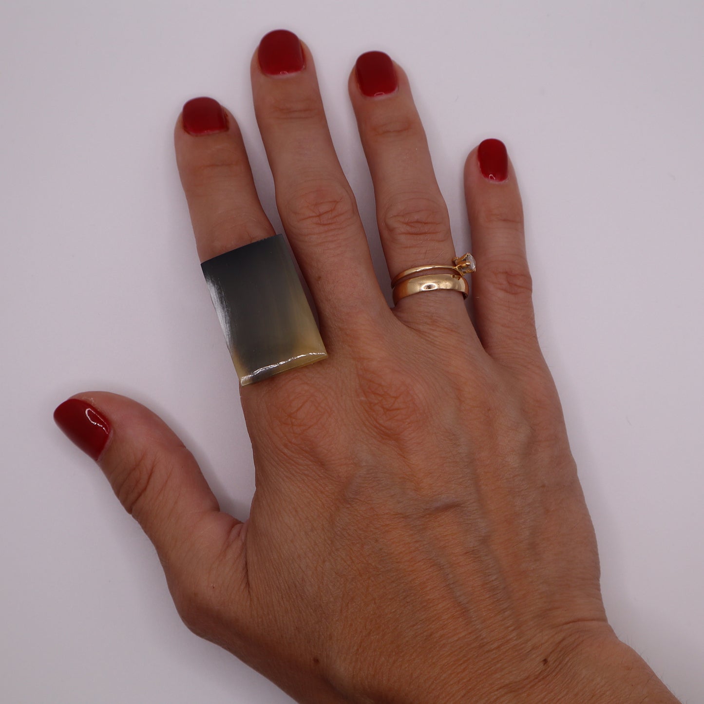 Anillo Lagos