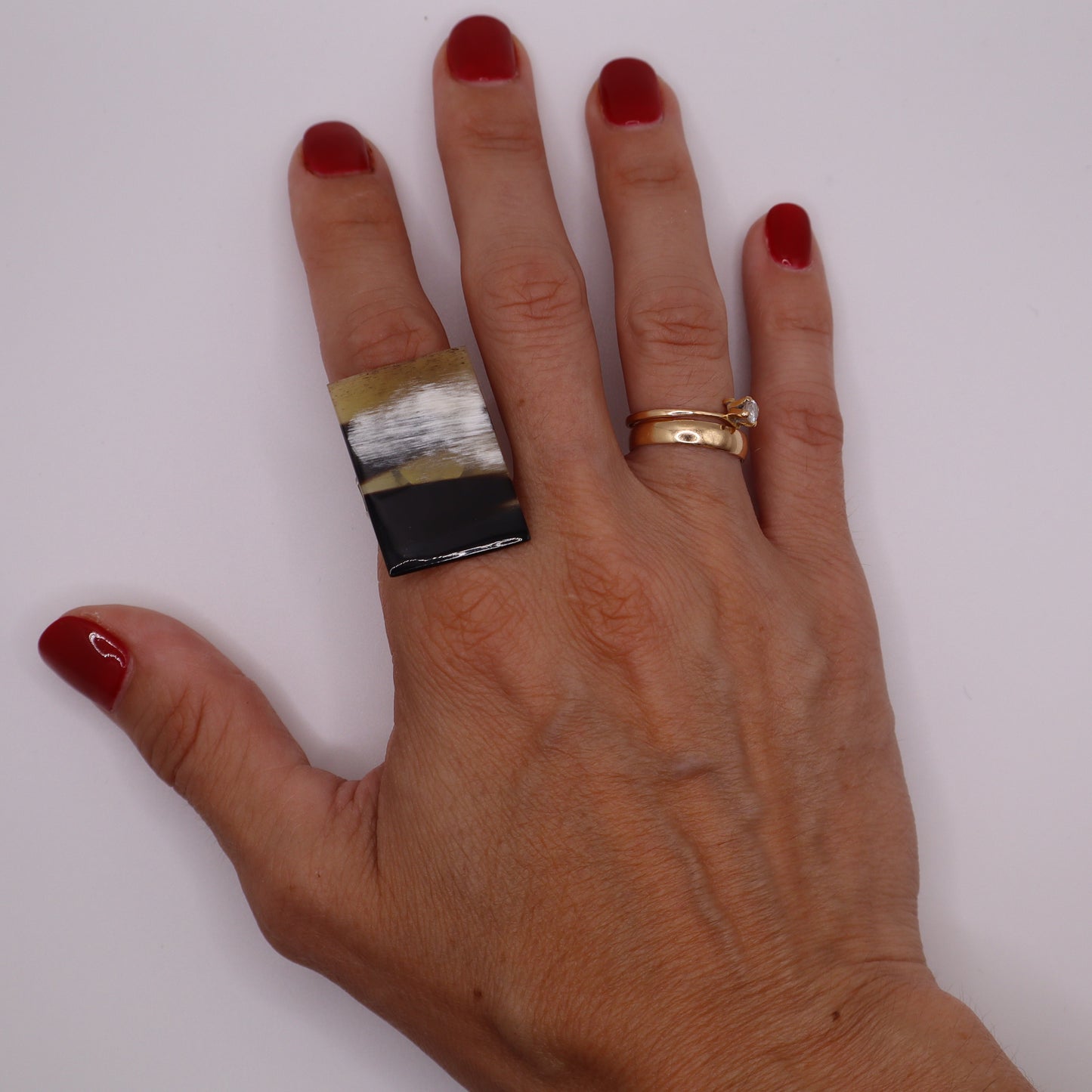 Anillo Lagos